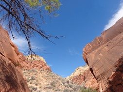 red rocks in canyon under blue sky