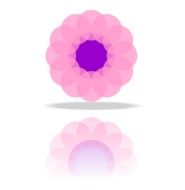 digital pink flower