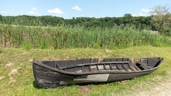 old wooden boat on a green shore on a sunny day