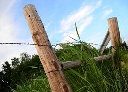 wooden fence posts