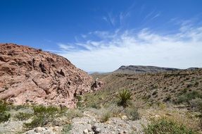 red rock canyon in Nevada