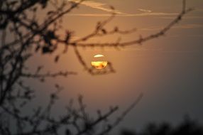 Landscape of red sun on a evening sky