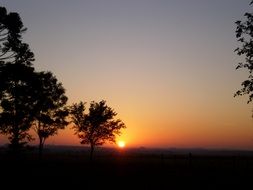 silhouettes of trees against the background of orange dawn