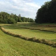 castle park in nymphenburg