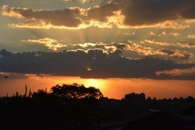 golden sunset over Africa