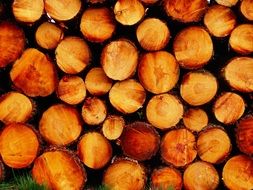 orange logs stacked on top of each other