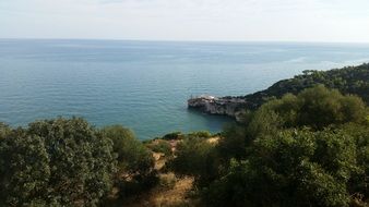 panoramic view of the coast in summer