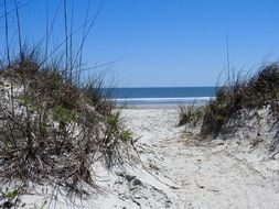 north carolina coast on a sunny day