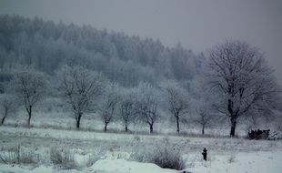 Landscape of frozen forest on a mountain