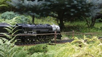 toy model of a train on a background of nature