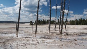 thermal springs in Yellowstone