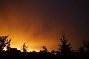 orange sunset over the black forest