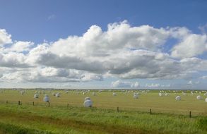Landscape of many bales of hay on a field in iceland