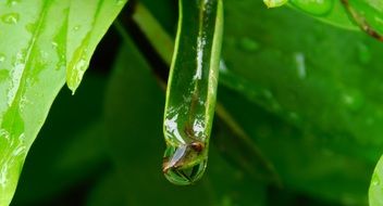 Drop Water After The Rain close-up on blurred background