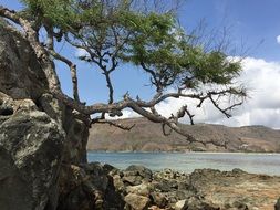 Lombok Beach in Indonesia romantic Landscape