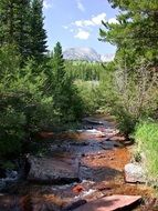 whitewater in the colorado river