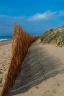 Landscape of the costa in summer