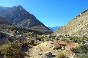 valley in the mountains of chile on a sunny day