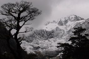 winter landscape of new zealand in black and white image