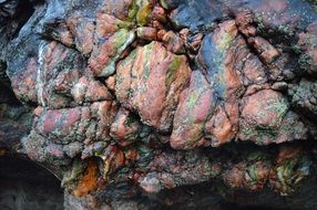 colorful Rocks on the seaside