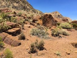 Desert Rocks