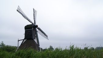 Mill Nature