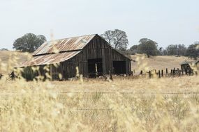 Picture of Farm Landscape