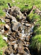 Mountain Stream Alpine Landscape