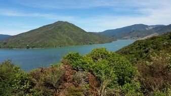 river near the mountain with green trees