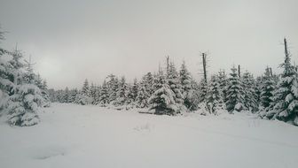 snowy landscape on a cloudy day