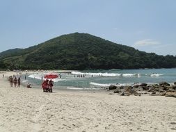 Beautiful sandy beach and hill with plants in Brazil