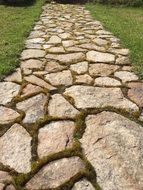 the stone path in a garden