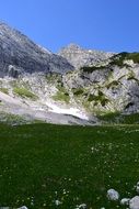 Alpine Alphabet Meadow Nature