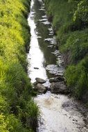 the river flows among the green shores