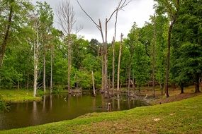 extraordinary Alabama Pond