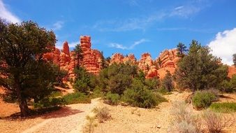Tree Mountain Desert