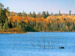 calm autumn forest landscape by the lake