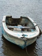Boat River Nature