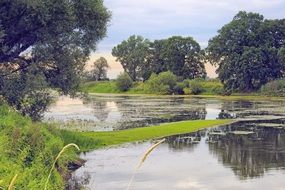 Pond and Evening Sky