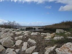 Nature Lagoon Sea Coast Spring