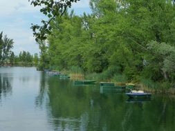 Water Lake Rest Bank Reflection