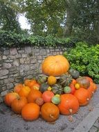 orange and green halloween pumpkin