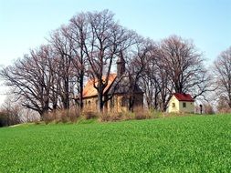 landscape of trees near the chapel