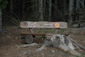 Wooden bank in a forest