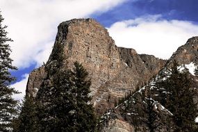 Landscape with the trees near the mountain in Canada