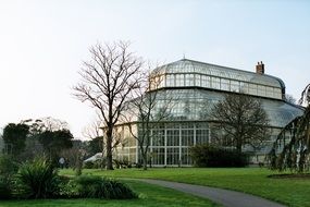 The Greenhouse Of The Botanical Garden