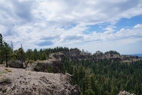 forest cliffs landscape