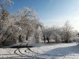 photo of winter landscape in the morning sun