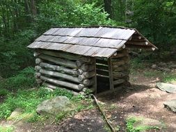 Cabin Landscape
