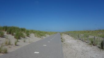 bike lane among the sand dunes in the netherlands